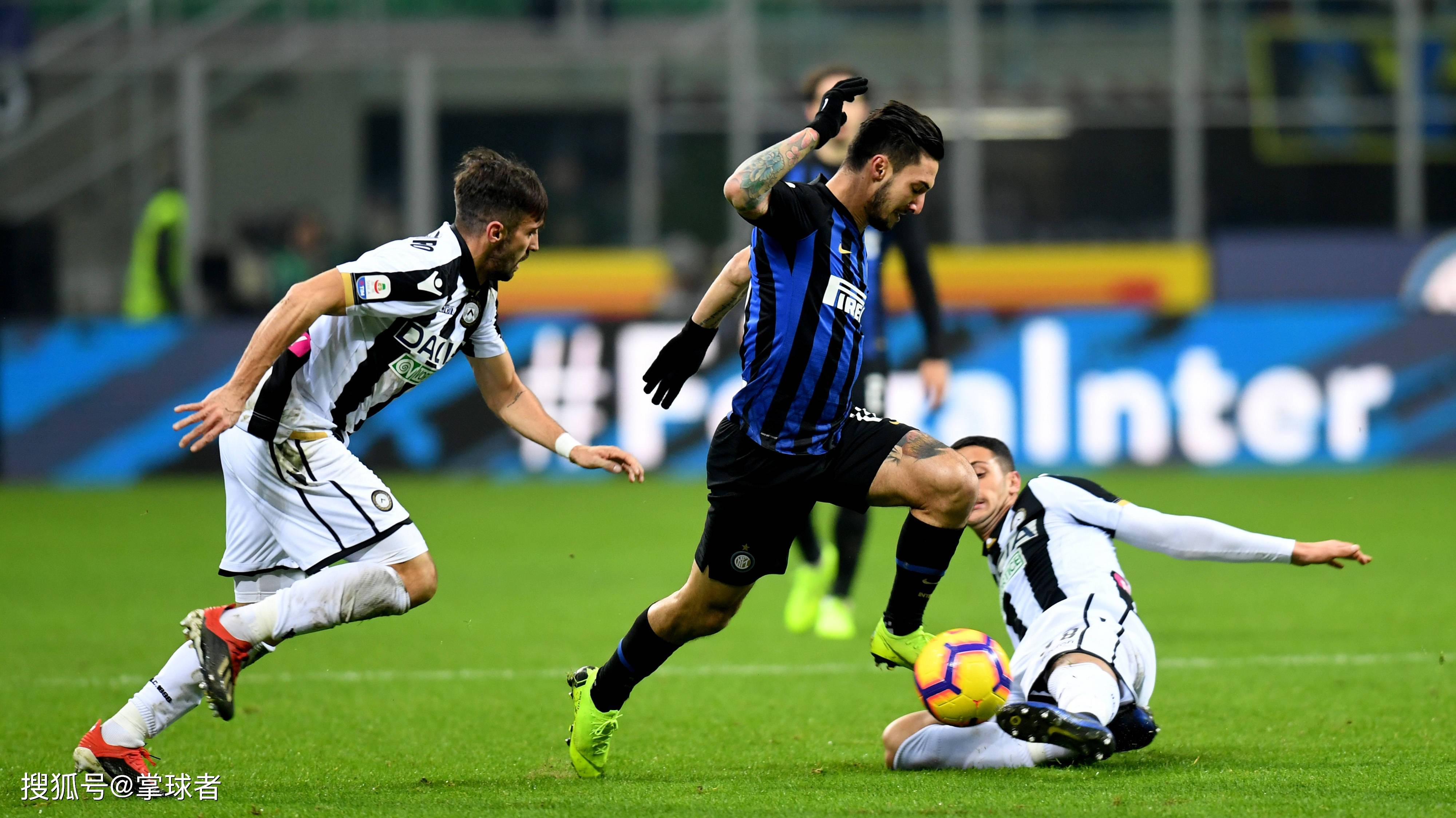 强韧生命力 强韧生命力